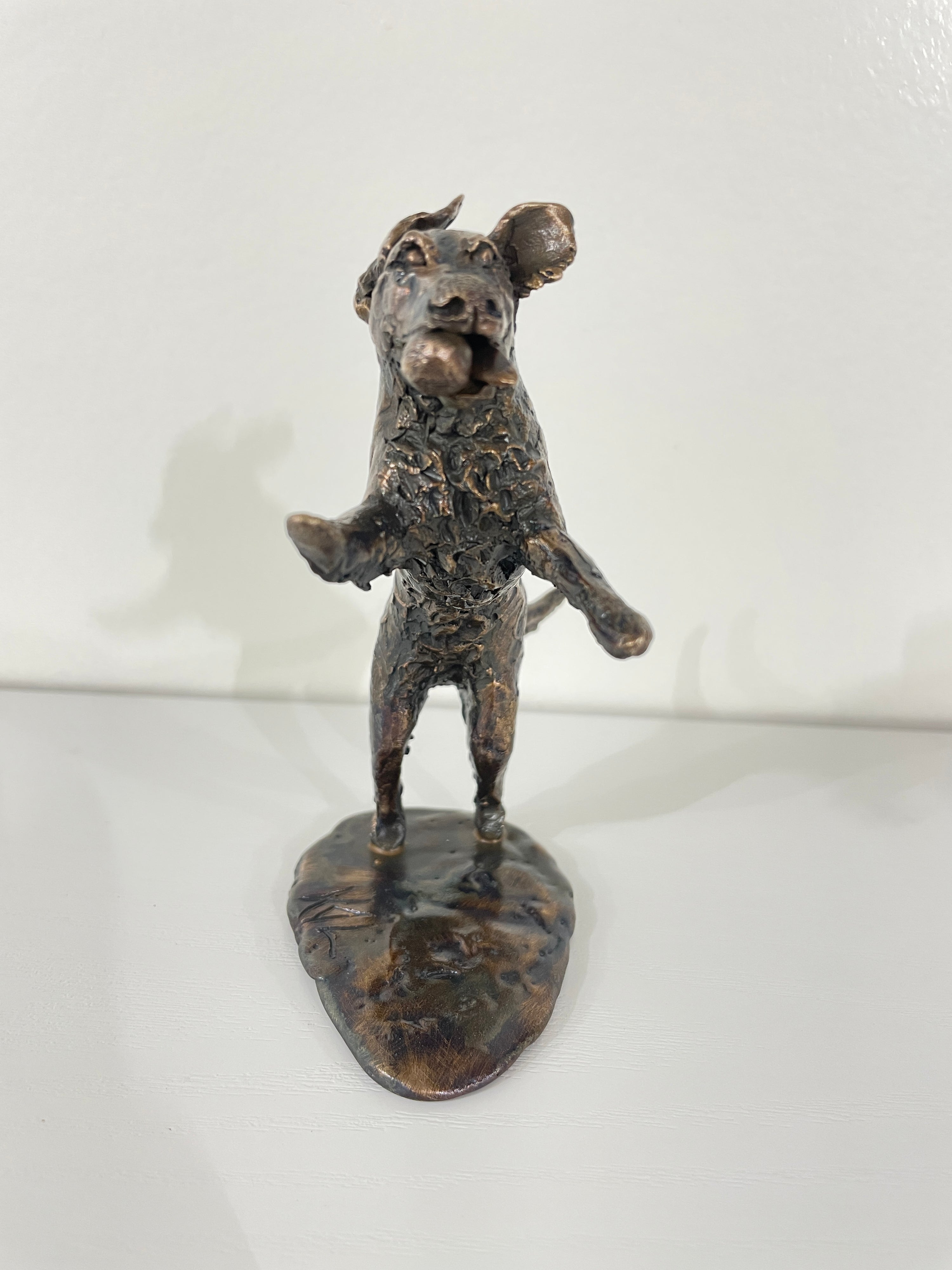 Bronze Dog Commissions Available