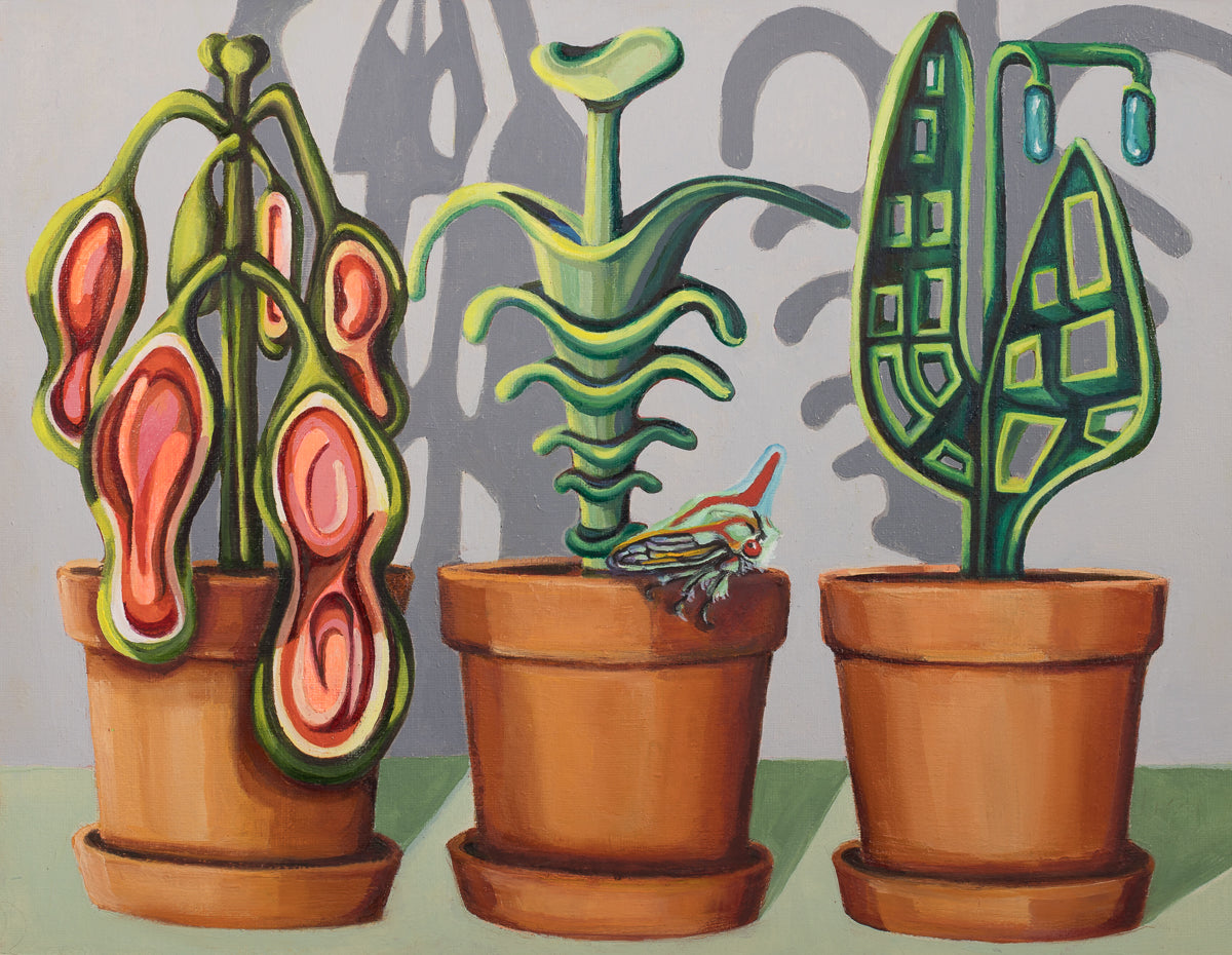 Leafhopper Lounges in The Lab by Sue Hammerland