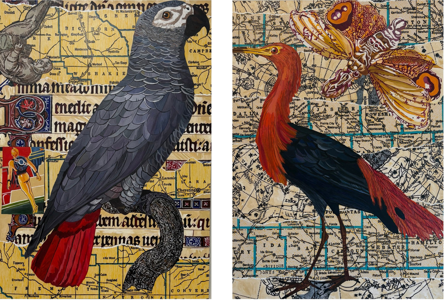 Amelia Earhart Diptych