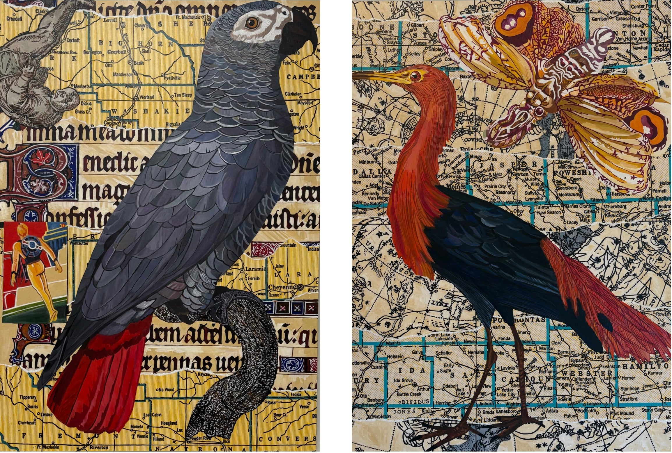 Amelia Earhart Diptych