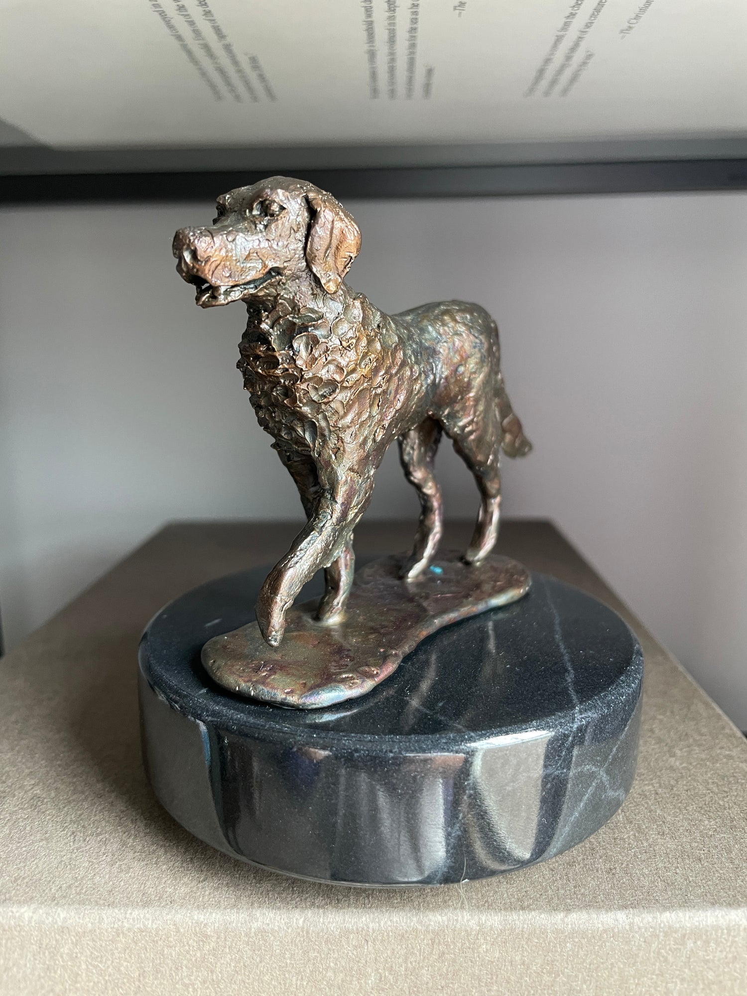 Bronze Dog Commissions Available