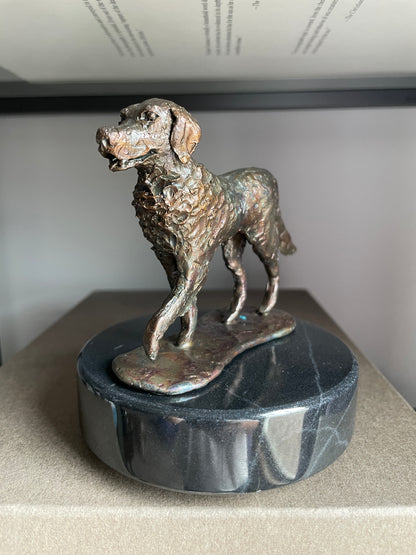 Bronze Dog Commissions Available