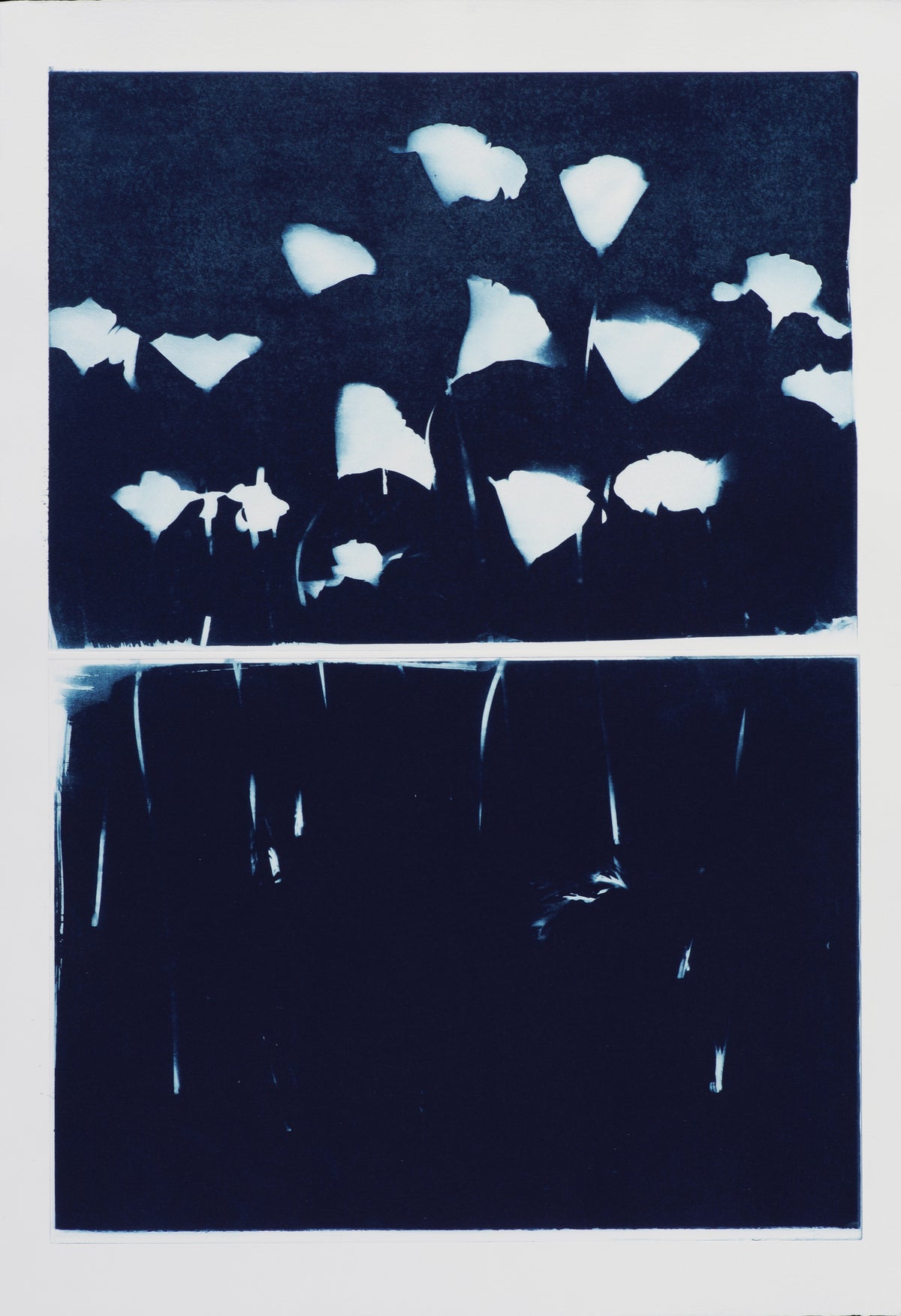 California Poppy (Diptych)