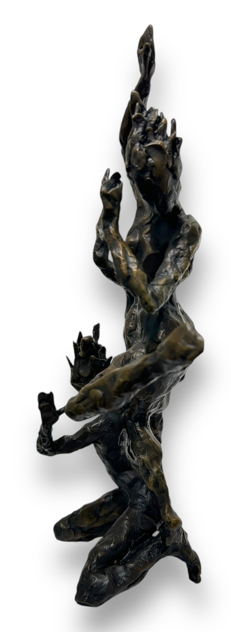 Firedance - James Gabbert 1