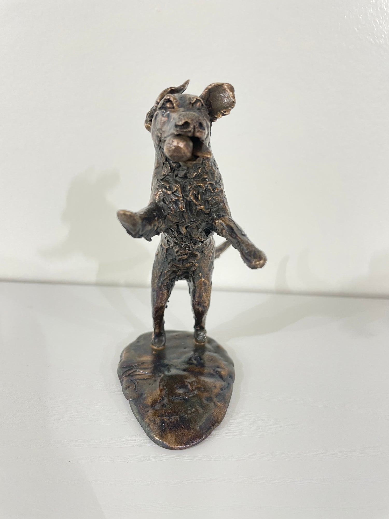 Bronze Dog Commissions Available