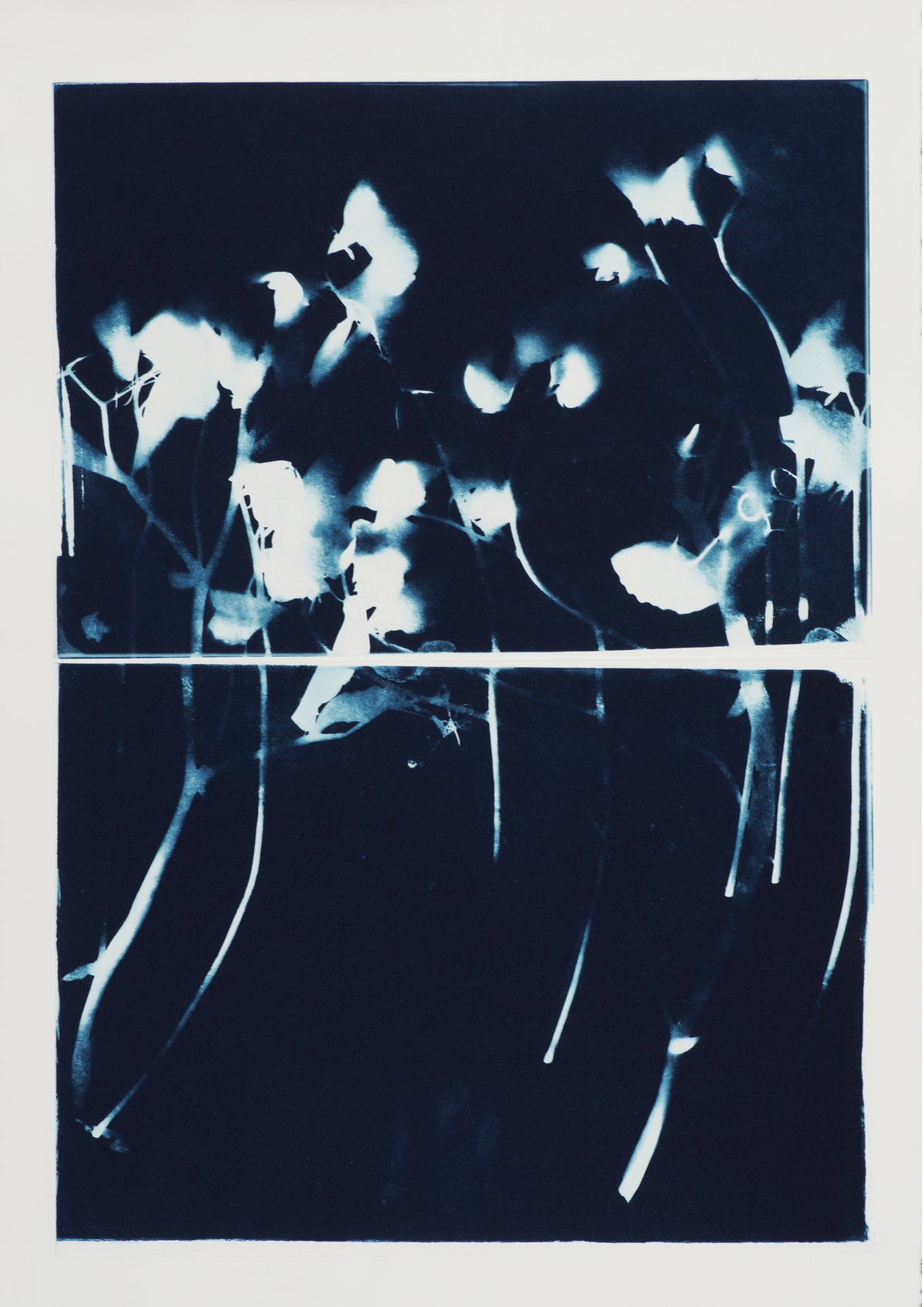 Sweet Pea (Diptych)